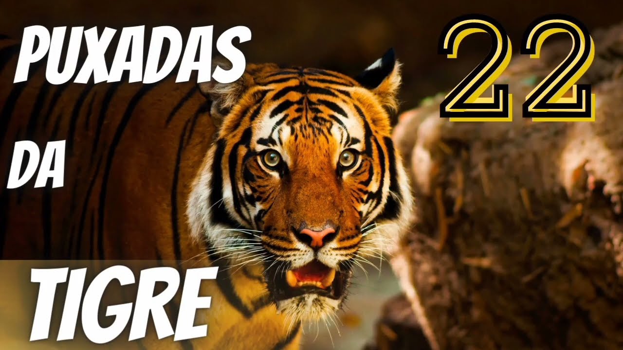 Watch Now PUXADA DO TIGRE - JOGO DO BICHO DICA DO CAPITÃO PUXADA DO TIGRE - JOGO DO BICHO DICA DO CAPITÃO