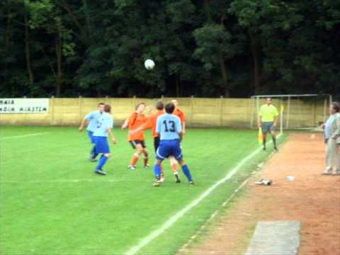 Gród Podegrodzie- Bocheński KS