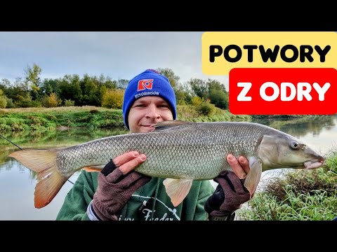 346 POTWORY Z ODRY !!! SKACZĄCA RZEKA