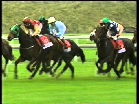 2001 Tote Cesarewitch Handicap