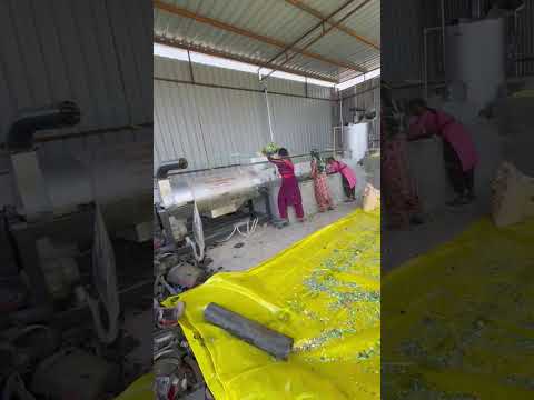 Plastic Dryers