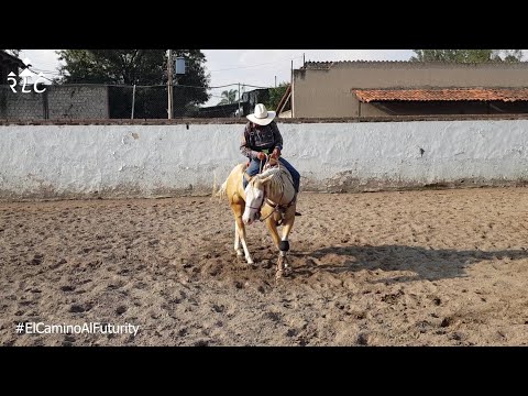 EL CAMINO AL FUTURITY: Capítulo 8 (Parte 1 de 3)