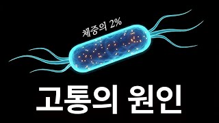 최근 정신의학이 밝혀낸 「행복을 위해 꼭 먹어야 하는 1가지」