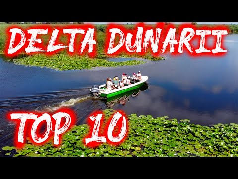 🚣‍♂️Top 10 Experiențe de Neratat în Delta Dunării | Ghid de Călătorie & Sfaturi Utile🌿🐦