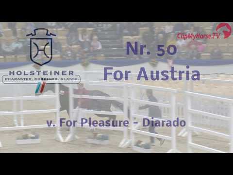 Holsteiner Körung 2019 - Nr. 50 For Austria