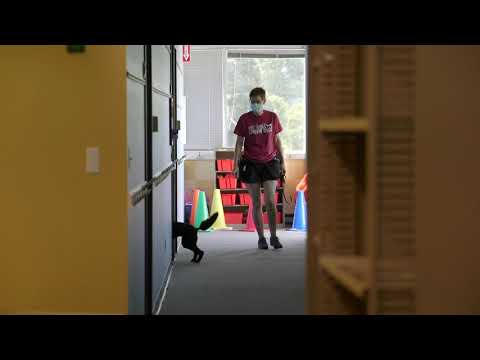 Jury 07112020 Batavia Elite Hallway