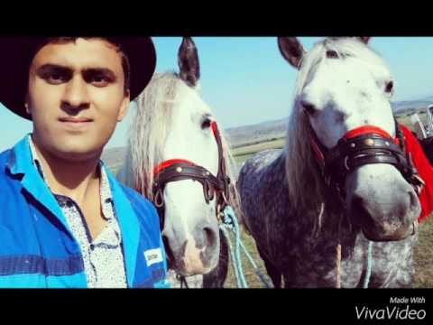 IEPE SURE DE VÂNZARE