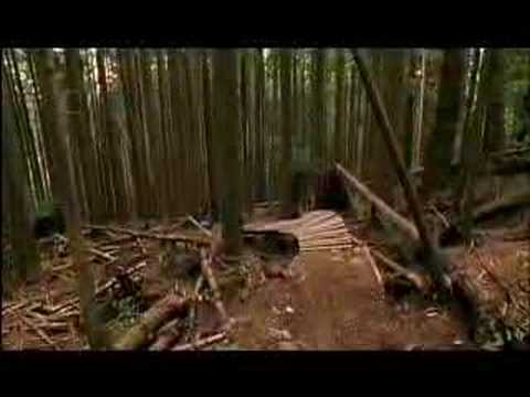 NWD8 Injured soldiers Smackdown