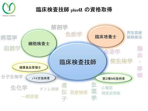 【山口大学OC2025／医学部／保健学科】検査技術科学専攻長挨拶