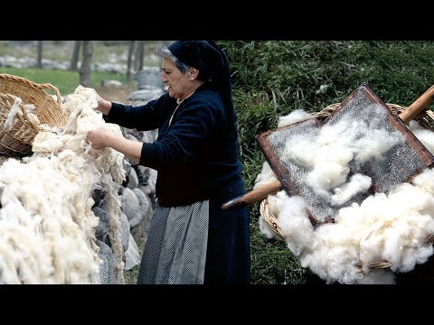 , title : 'La LANA en el Pirineo. Esquilado de ovejas, cardado y elaboración artesanal de prendas | Documental'