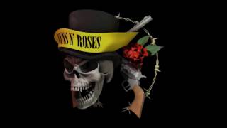 GUNS N' ROSES: USE YOUR ILLUSION WORLD TOUR (1991/1993) THE BEST OF