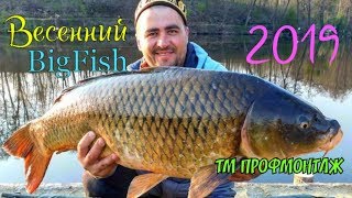 Рыбалка на что лучше ловить карпа в апреле