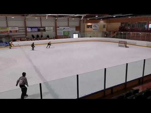 PyPo - Ilves Vihreä