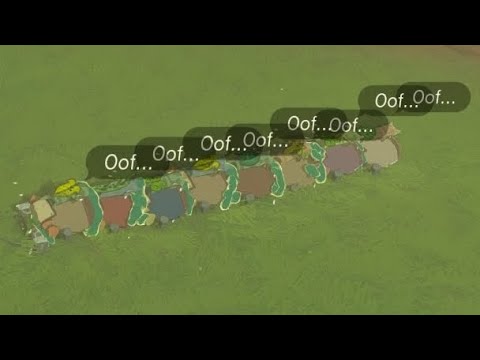 Koroks must suffer (Legend of Zelda: Tears of the Kingdom)