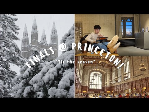 Princeton Finals Week Vlog! (uni diaries ep. 02 Studying, Christmas shopping, studying, suffering)