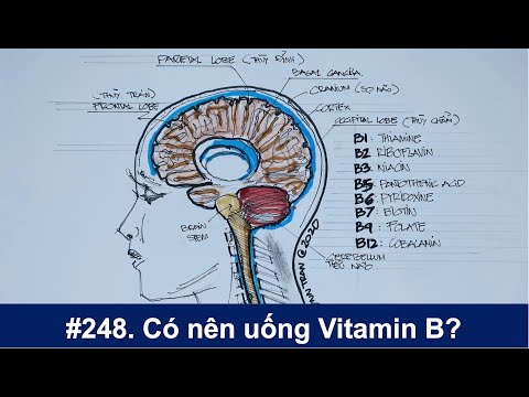 , title : '#248. Những ai cần uống Vitamin B?'