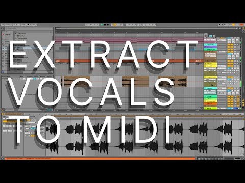 Daily Decibel 40 - Extracting Vocals to New Midi Track - Polishing Up a Funky House Tune