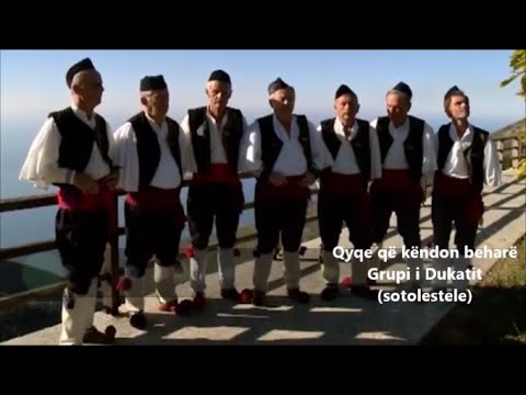 Qyqe që këndon beharë - Grupi i Dukatit (ndalohet rreptësisht kopjimi dhe ripublikimi)