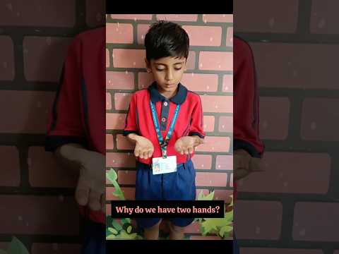 Why do we have two hands ?