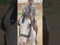 Sanjeev Sivaram Horse Riding Ariyalur Keelapalur Keelapalur Bigsokarthi