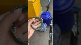 Video 3