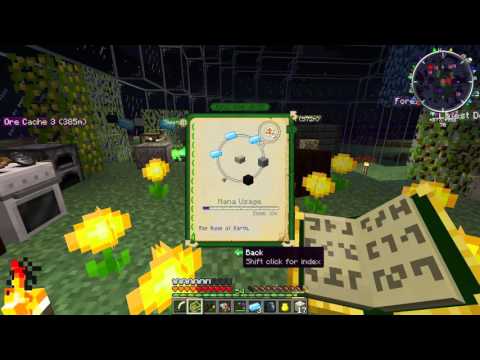 Soujourner's Sash - #Blightfall 60