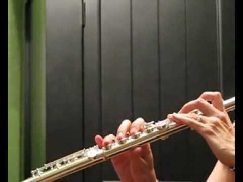 Di Zhao 700 Professional Flute with C# trill and D# Roller - Demo