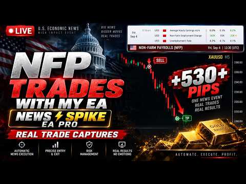 Video News Spike EA Auto Pro