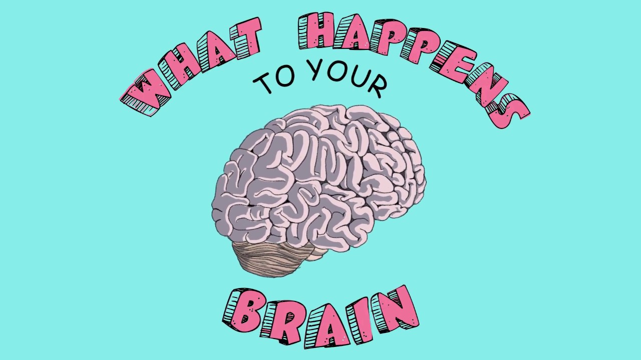 What Happens to Your Brain on Vacation!