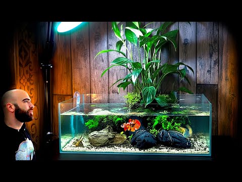 Making a Peace Lily Betta Fish Aquarium From Start To Finish (Minisode)
