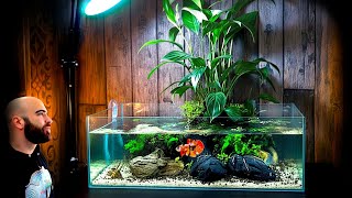 Making a Peace Lily Betta Fish Aquarium From Start To Finish (Minisode)