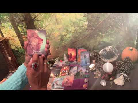 🌟SAGITTARIUS 11/11 PORTAL READING🌟