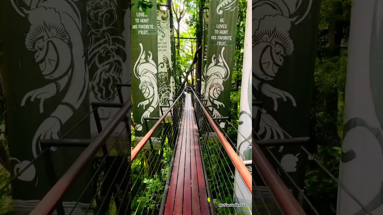 YouTube Short thumbnail