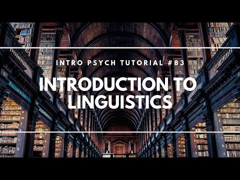 Language Acquisition Skinner vs Chomsky Intro Psych Tutorial 82