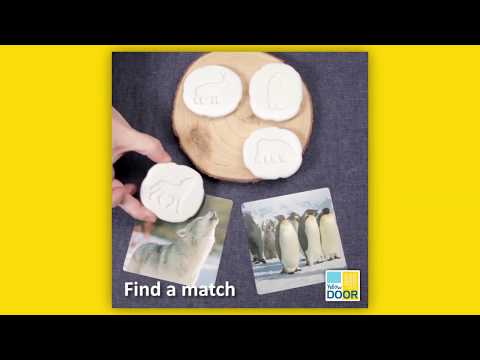 Slide 7 - Let's Investigate, Polar Footprints, 8 Pieces (video)