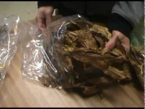 Tobacco Leaf Overview - Types, Varieties, and Applications