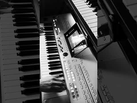 Bloodsport - Paul hertzog - On my Own Alone by Vince