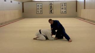 Sankaku Jime with Arms Against Turtle