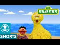 Sesame Street: Journey to Ernie: Beach