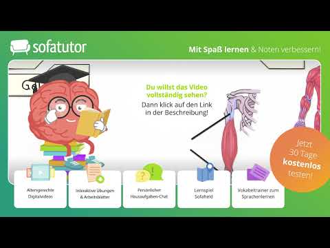 Das Bewegungssystem des Menschen – Aktiver & Passiver Bewegungsapparat