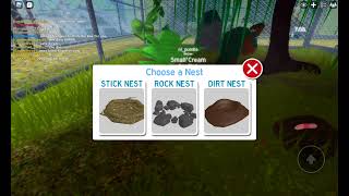 Roblox~ Playing Feather Family