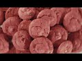 Red Velvet Cookies Made With The Finest Ingredients With Premium Chocolate Chips CakeStorys