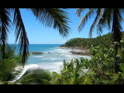 Tribal Seeds - Tulasi