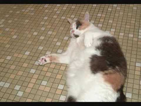 Mickey Katz - Schleppin My Baby Back Home