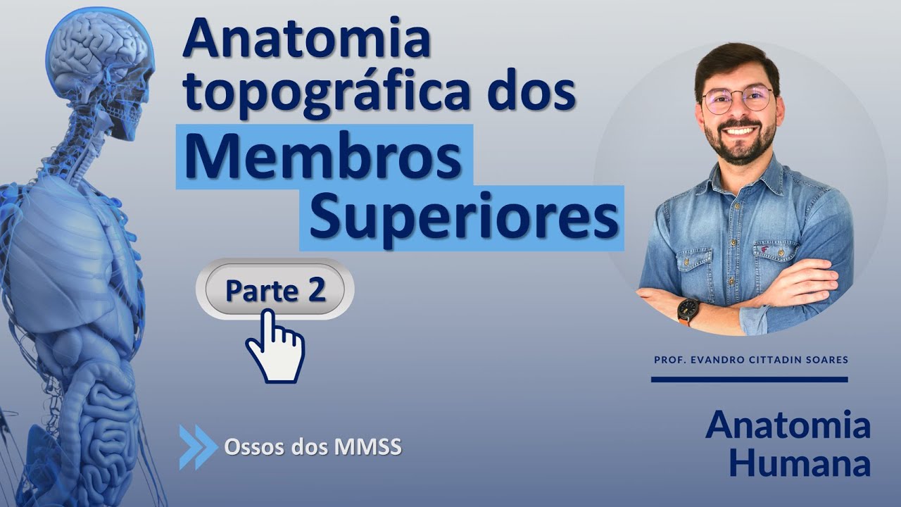ANATOMIA TOPOGRÁFICA DOS MEMBROS SUPERIORES - PARTE 2 - OSSOS DOS MMSS