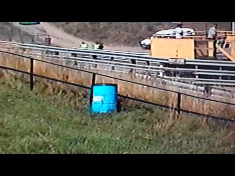 Sandra Persson Svampafestivalen 2013 damheat 1