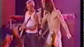 IGGY POP － RAW POWER　　g.Steve Jones (Sex Pistols)
