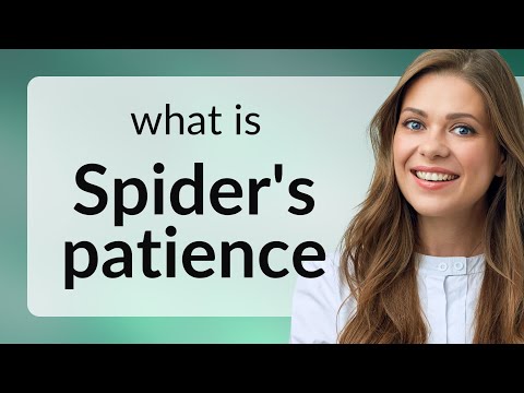 Understanding the Phrase "Spider's Patience" in English