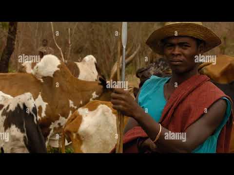 KAKAJOH:Hafatse (audio officiel)2K24