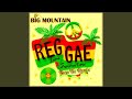 Reggae Inna Summertime (Euro Tec Remix)